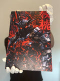 Blaze of Steel